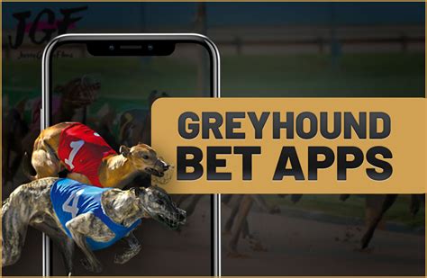 greyhound betting app